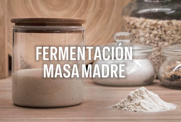 proceso fermentación de la masa madre